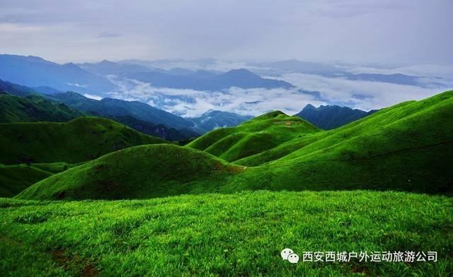 敏捷的白球